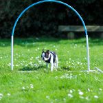 image00013